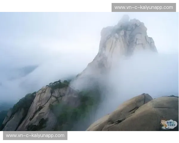 江淮潮涌，岭南风来：一场穿越山海的安徽与广西奇遇记